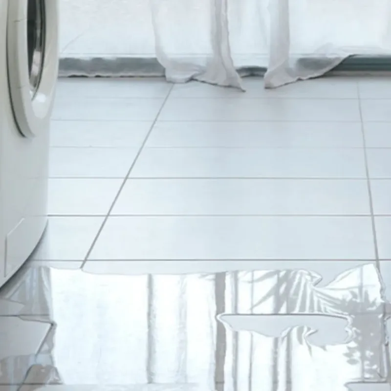 Appliance Leak Cleanup in Barataria, LA