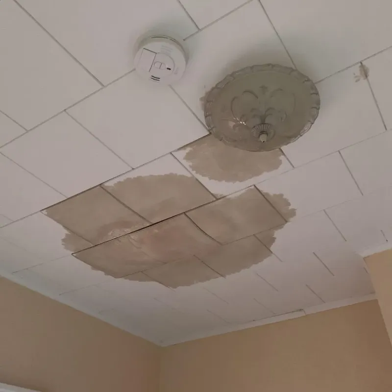 Ceiling Water Damage Repair in Barataria, LA
